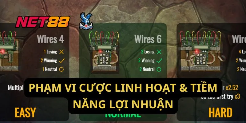 Phạm Vi Cược Linh Hoạt & Tiềm Năng Lợi Nhuận