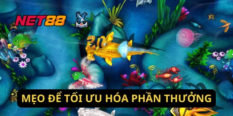 Mẹo Để Tối Ưu Hóa Phần Thưởng