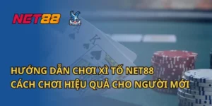 Hướng Dẫn Chơi Xì Tố Net88: Cách Chơi Hiệu Quả Cho Người Mới