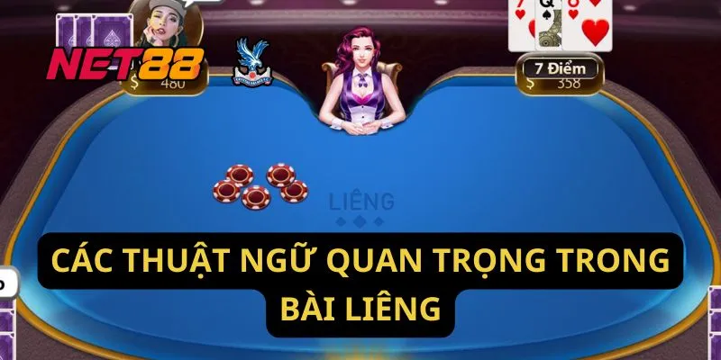 Các Thuật Ngữ Quan Trọng Trong Bài Liêng